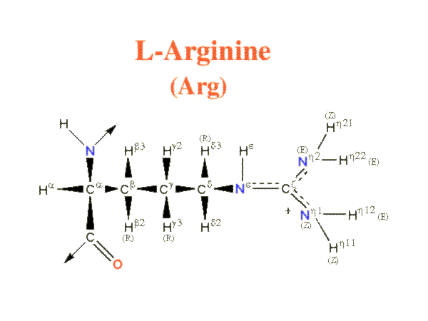 Arginine image