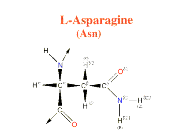 Asparagine image