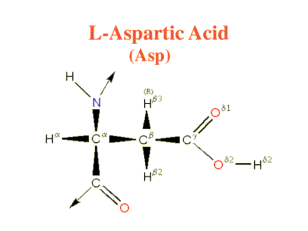 Aspartic Acid image