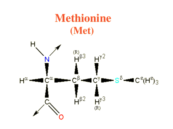 Methionine image
