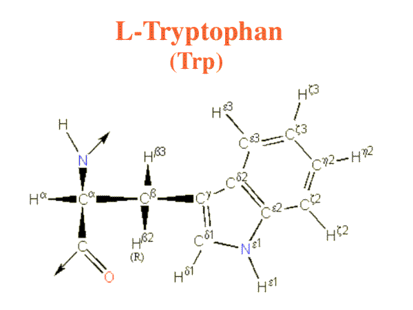 Tryptophan image